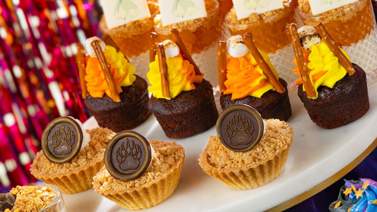 Magic Kingdom Fireworks Dessert Parties: Pre-Party