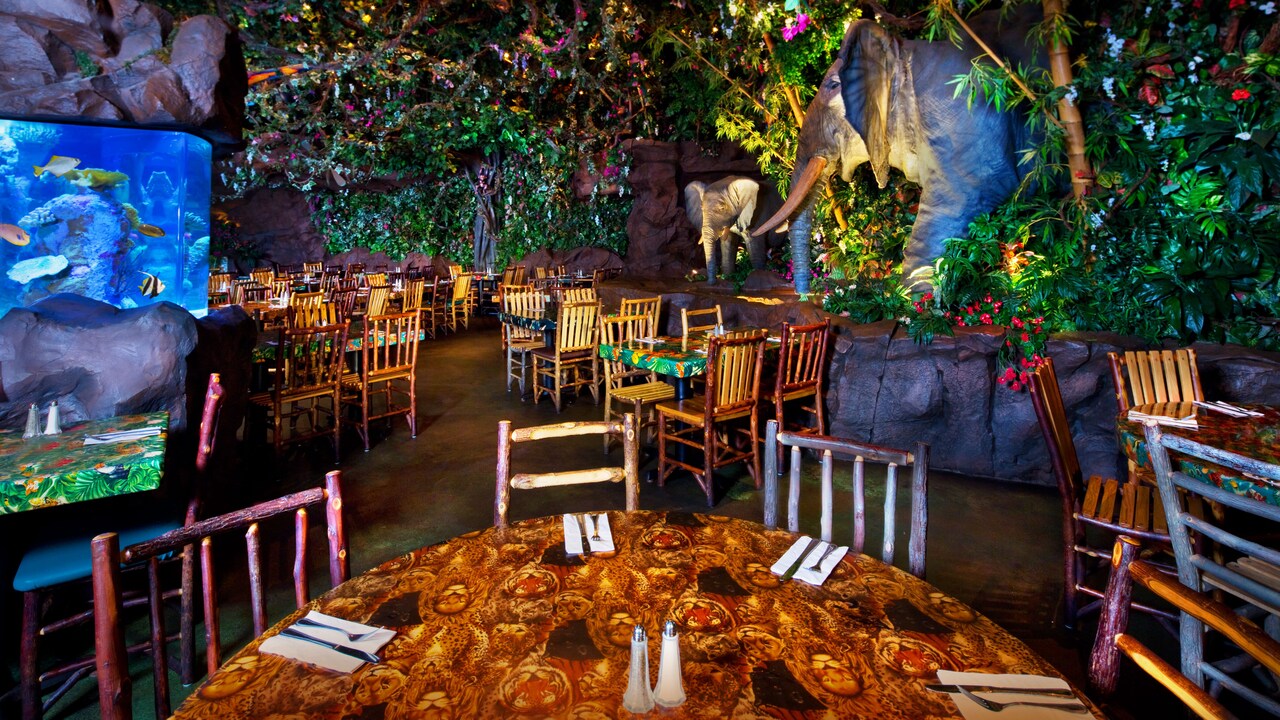 Rainforest Cafe® at Disney's Animal Kingdom